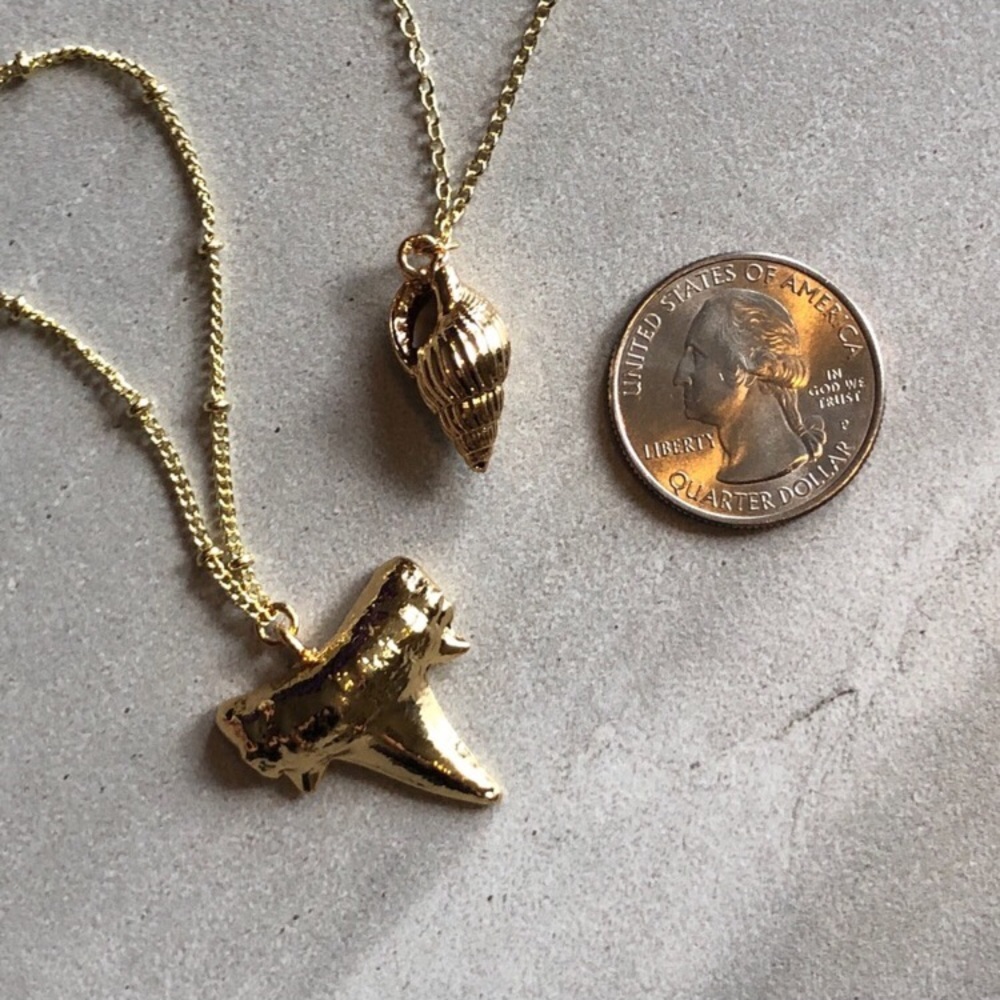 Shell Pendant Necklace - Picture 2 of 2